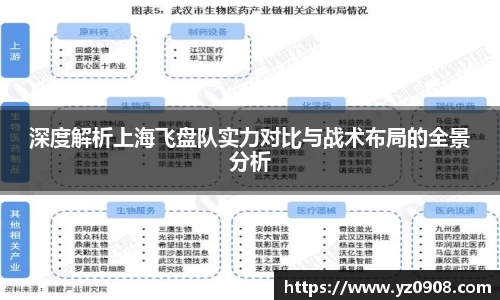 深度解析上海飞盘队实力对比与战术布局的全景分析
